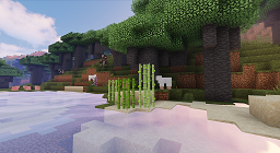 1.0.1